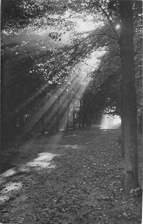 380-186-035 Boslaan, Verzenden, Voor 1920, Zuid-Holland