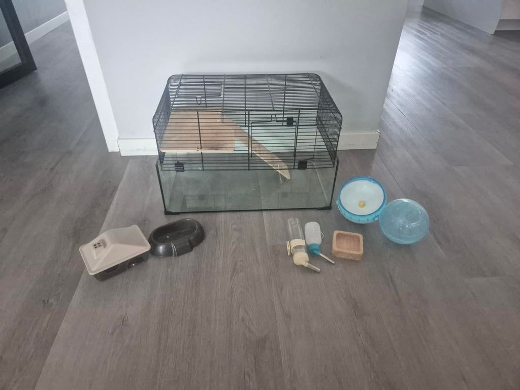 Hamsterkooi met glazen bak en toebehoren, Dieren en Toebehoren, Minder dan 60 cm, Kooi, Minder dan 75 cm, Ophalen of Verzenden