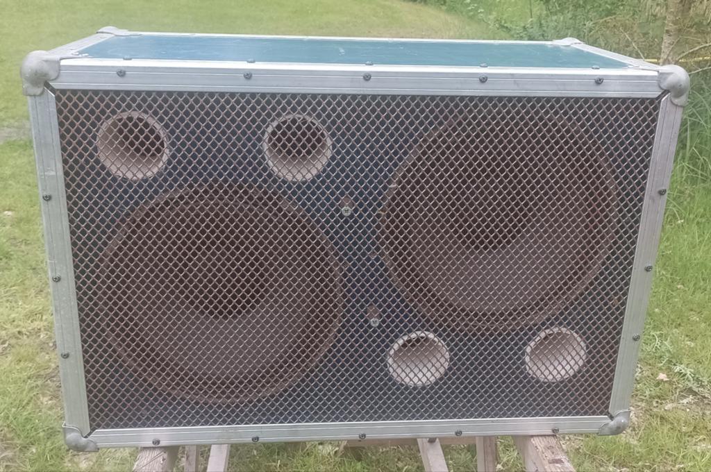 Bas Cabinet met 2 x Goodmans Pro Power 12HDP speakers, 8 ohm, Ophalen, 100 watt of meer