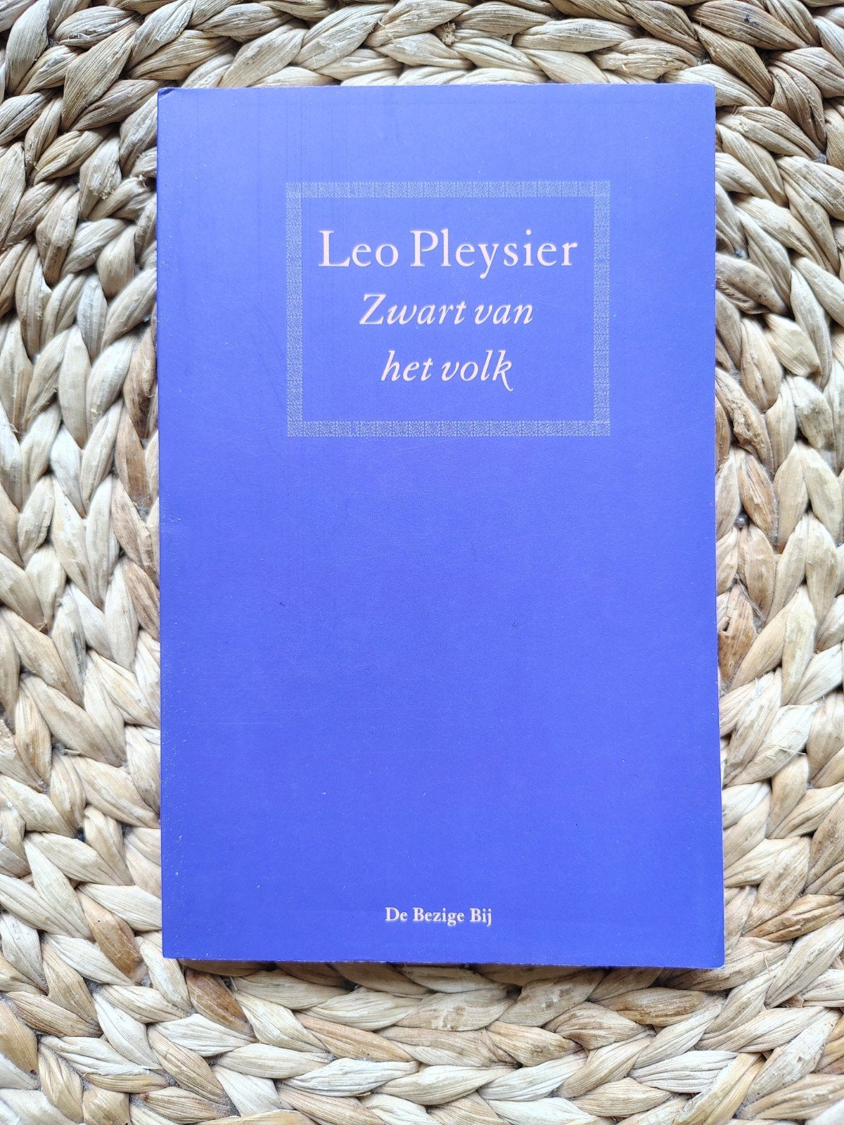 Leo Pleysier - Zwart van het volk, Boeken, Ophalen of Verzenden, Zo goed als nieuw