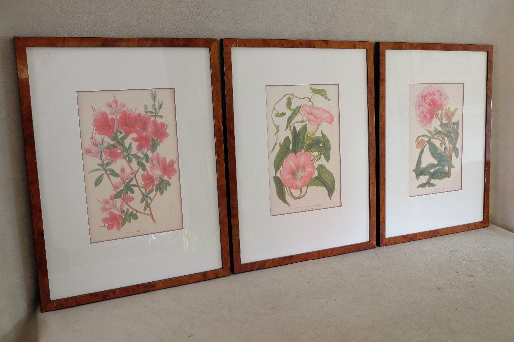 3x Lithografie schilderij Hortus Stroobant  floraal, Antiek en Kunst, Ophalen of Verzenden, Ingelijst, Bloemen