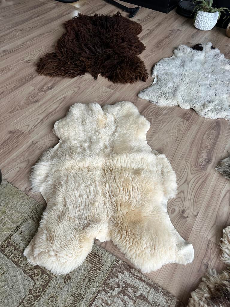 Nieuwe Zachte crèmekleurige schapenvacht, Ophalen, 100 tot 150 cm, 50 tot 100 cm, Zo goed als nieuw