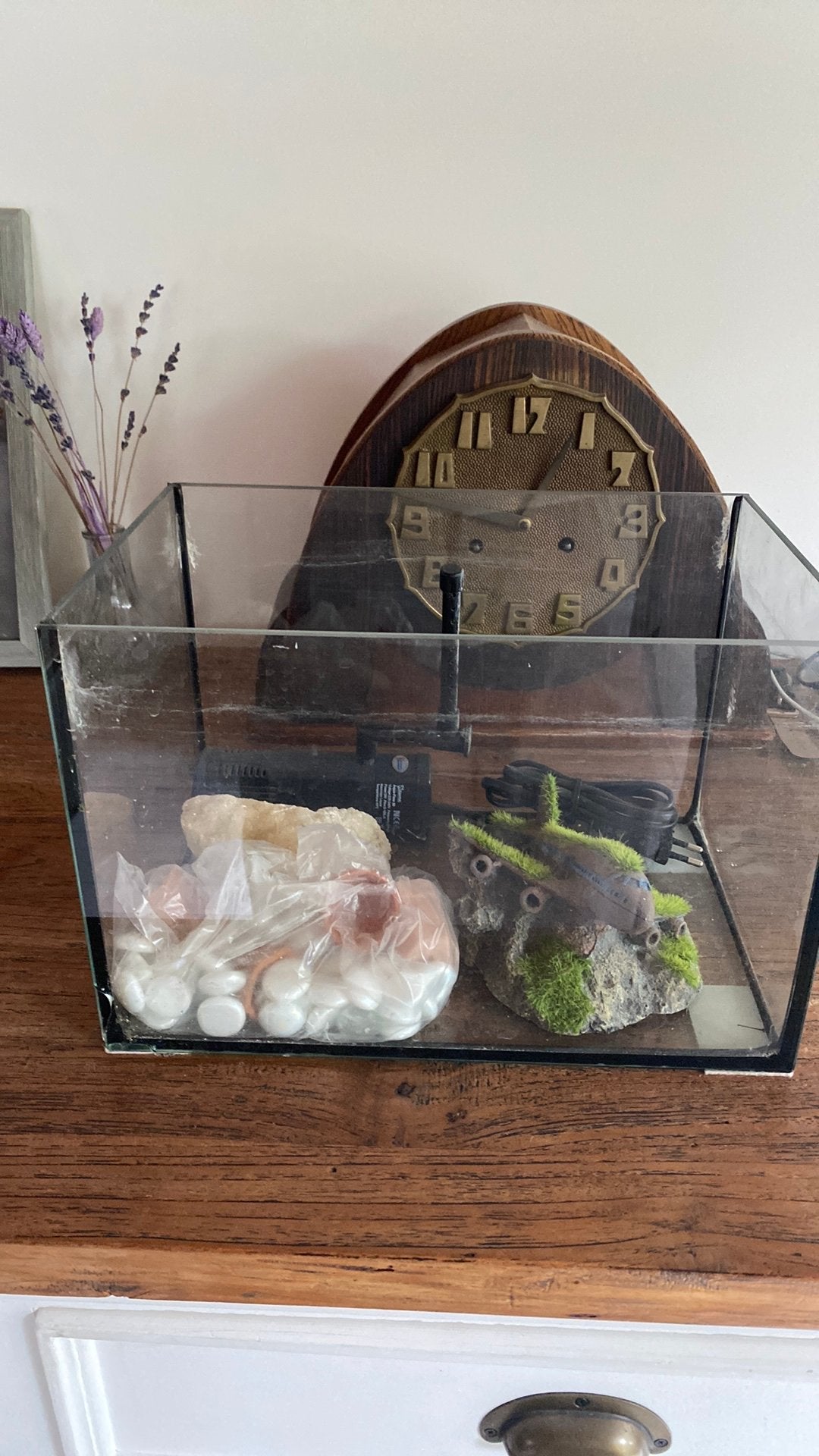 Vissenkom met zuurstof en accessoires, Kooi, Gebruikt, Minder dan 75 cm, Ophalen