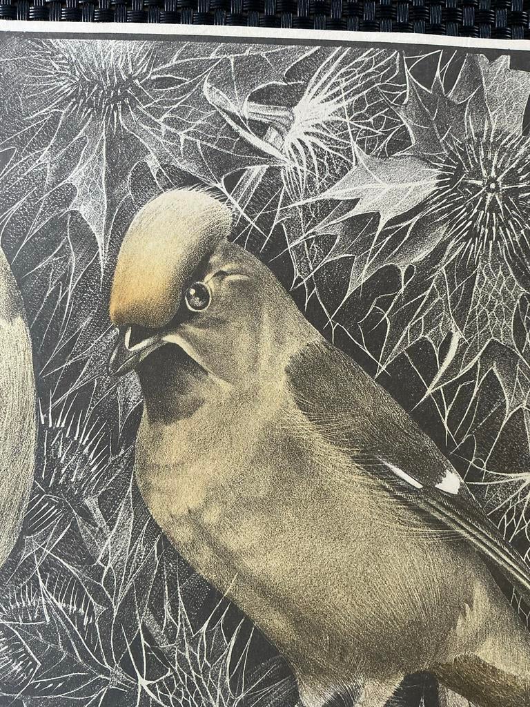 Prent drie Pestvogels - Willem Abraham Wassenaar, Antiek en Kunst, Ophalen of Verzenden