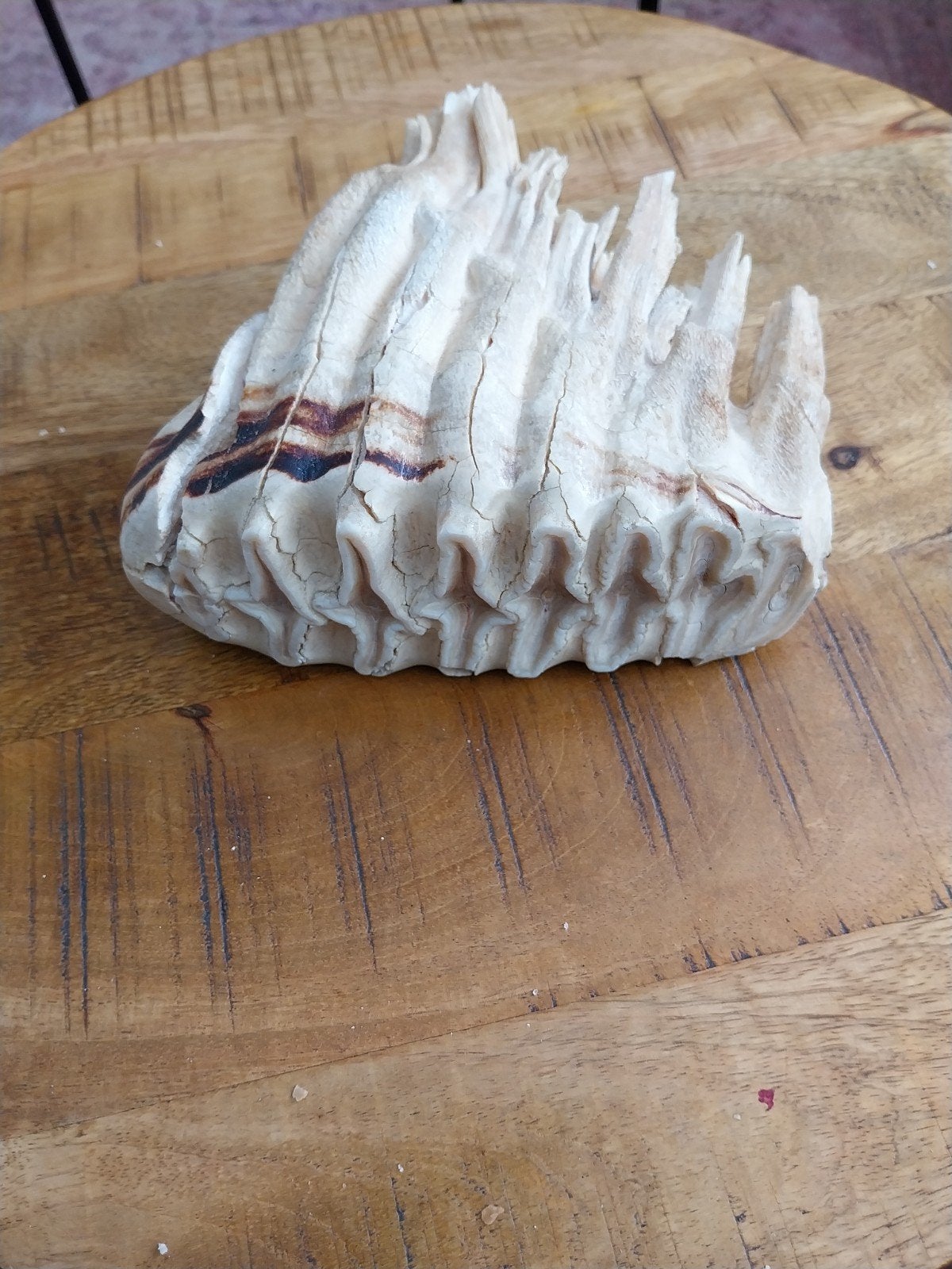 wolharige mammoetkies, Ophalen of Verzenden