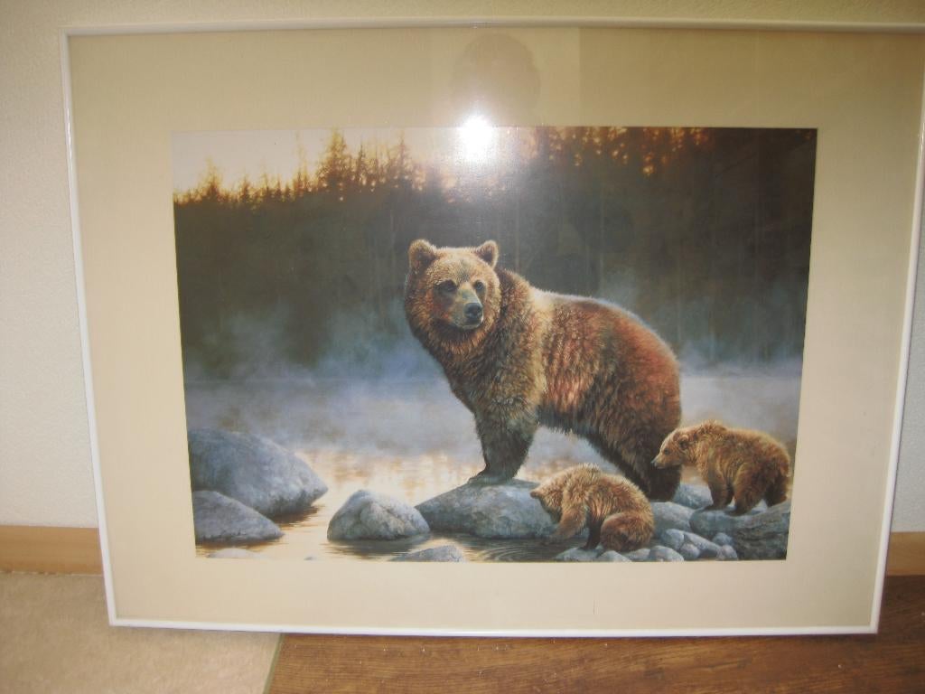 Lijst met beren, Ophalen, Hout, Minder dan 50 cm, Minder dan 50 cm