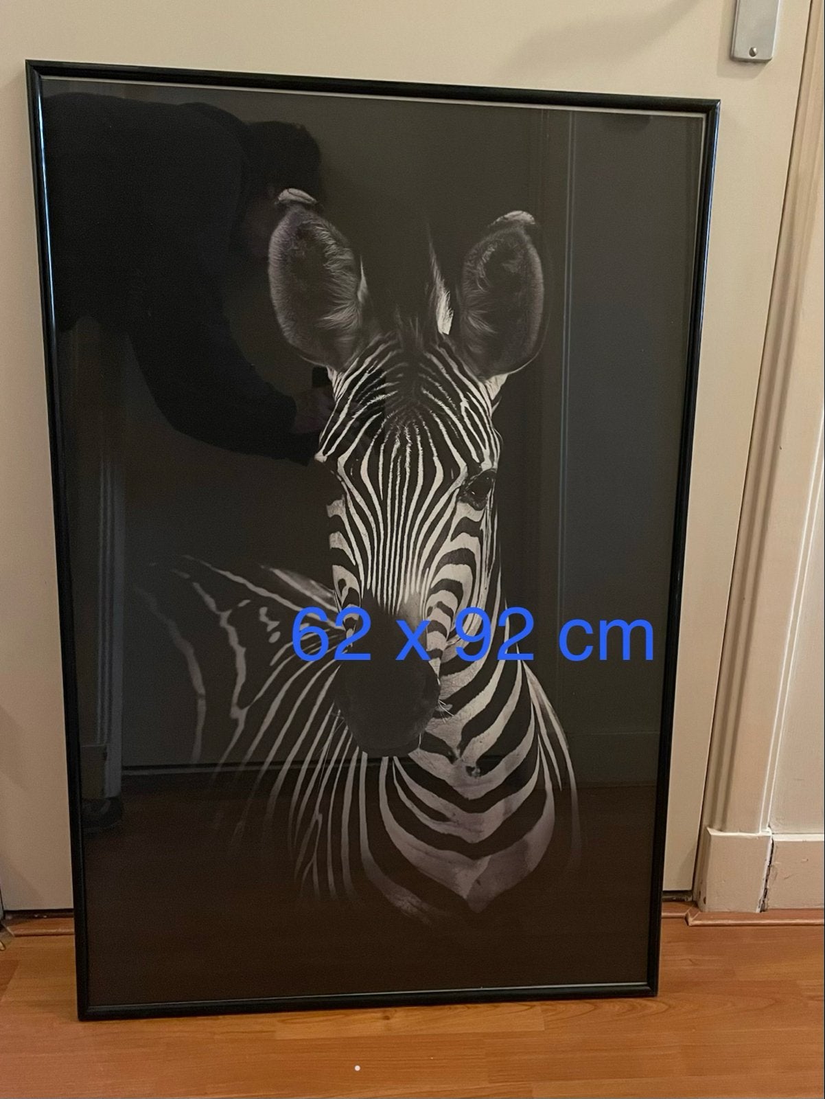 Ingelijste Zebra Poster - 62x92 cm - Nieuwstaat, Ophalen, Nieuw, Foto of Poster, 50 tot 75 cm