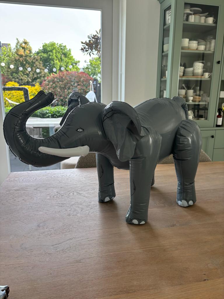 Leuke opblaasbare olifant - Decoratie of speelgoed, Ophalen of Verzenden, Gebruikt, Jongen of Meisje