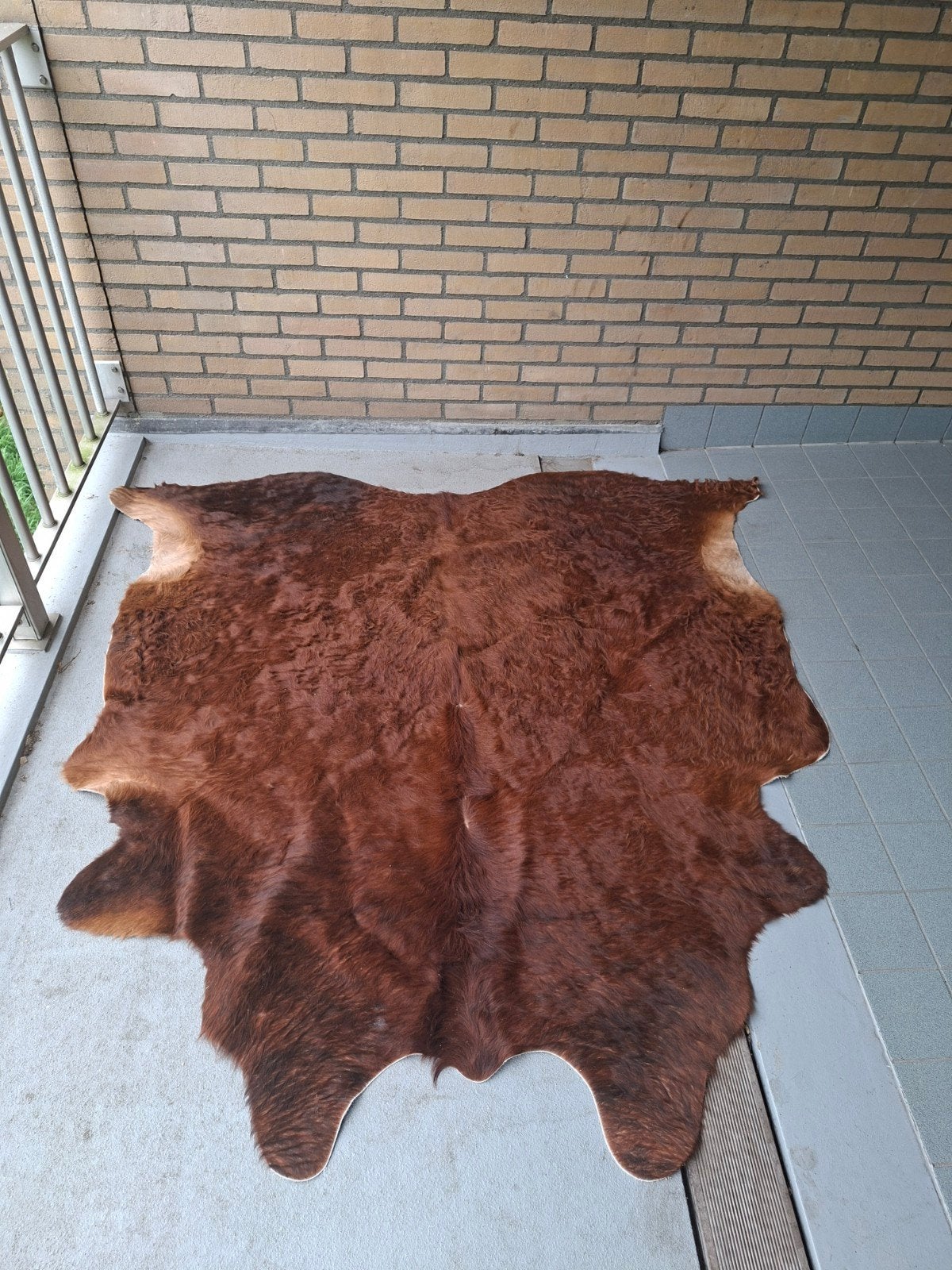 Mooi koeienvel, Gebruikt, Koeienvel, 150 tot 200 cm, Ophalen of Verzenden