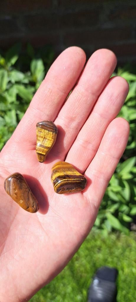 Tijgeroog,edelsteen (2-3 cm), Verzamelen, Mineralen en Fossielen, Ophalen of Verzenden