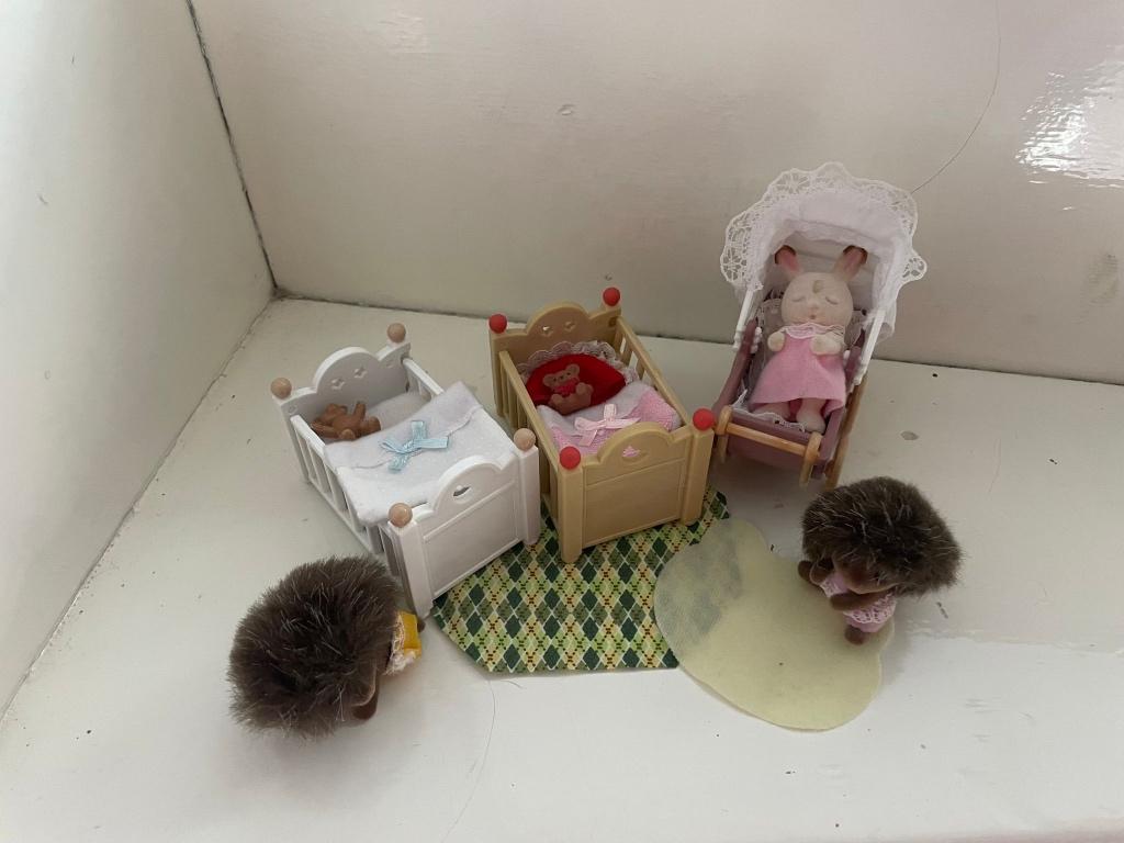 Sylvanian, Ophalen, Zo goed als nieuw, Toebehoren
