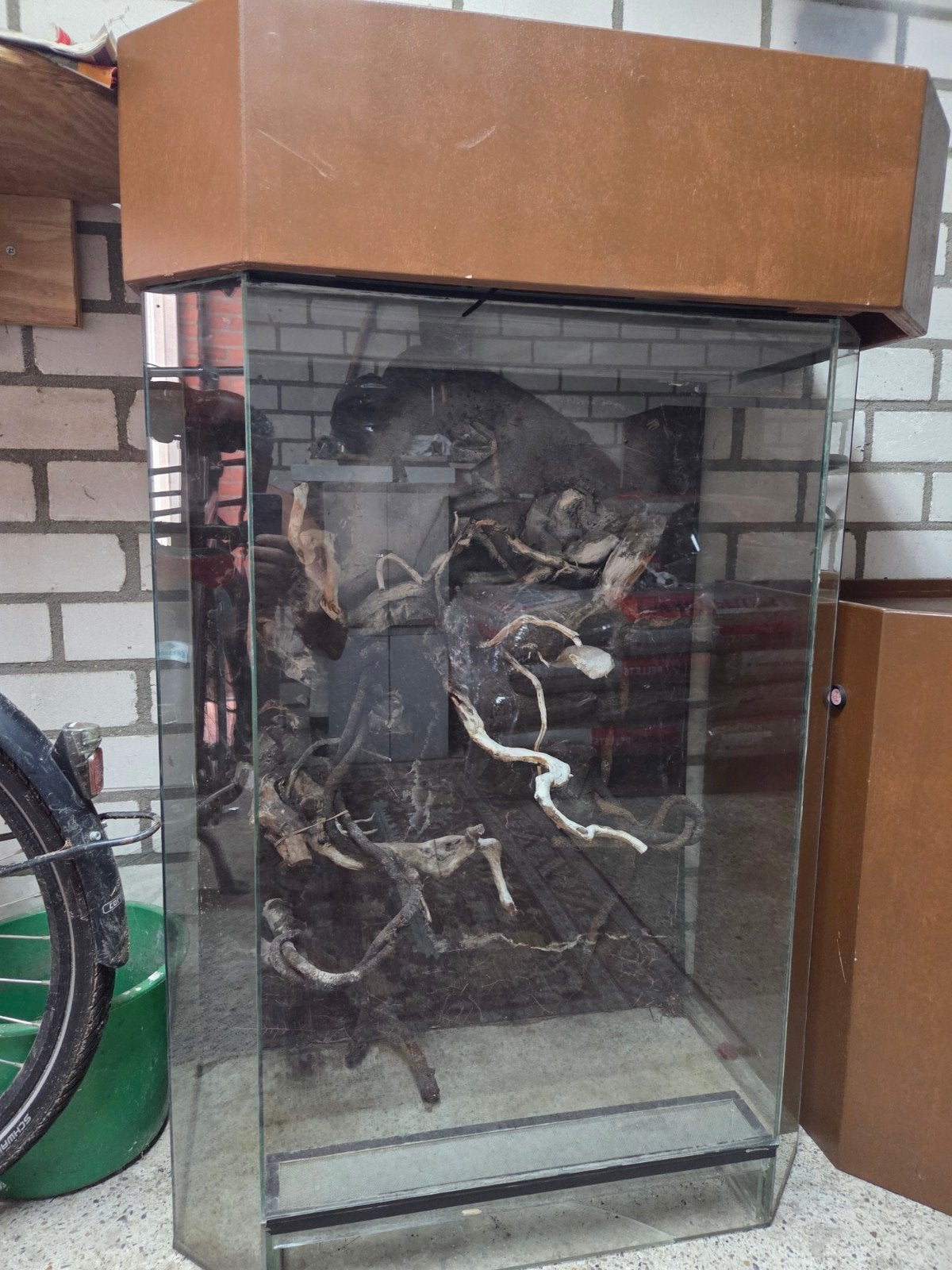 Terrarium gratis, Ophalen