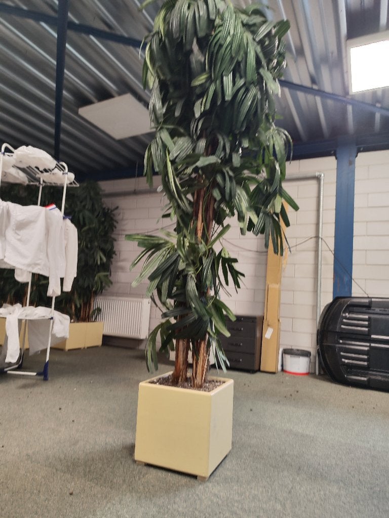 Kunstplanten, Ophalen, Onderhoudsvrij, Kunstplant, Overige materialen