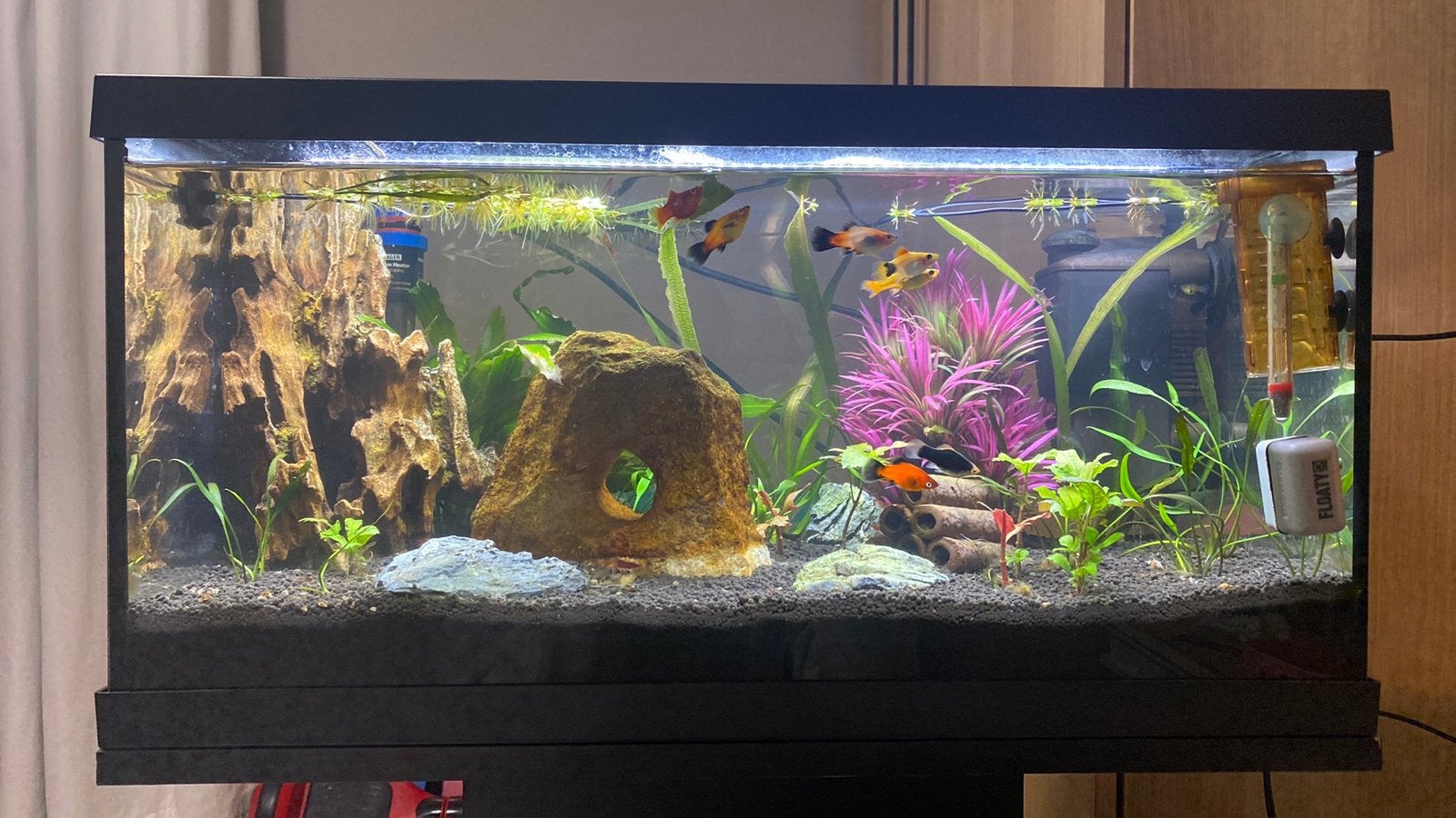 Aquarium incl meubel, Ophalen of Verzenden, Zo goed als nieuw, Leeg aquarium