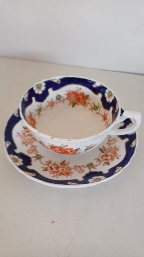 Antieke kop en schotel Plant tuscan china oranje blauw, Ophalen