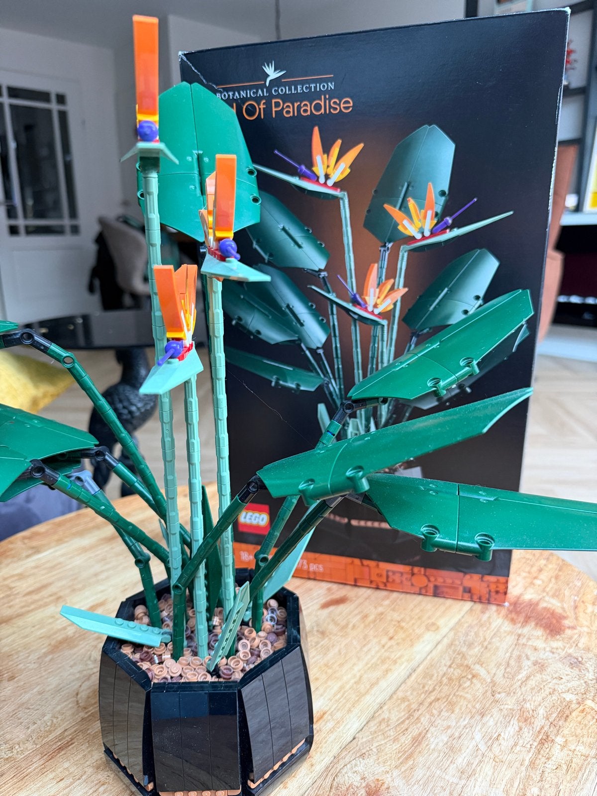 LEGO Botanical Collection Paradijsvogelplant (10289), Ophalen, Zo goed als nieuw, Overige merken