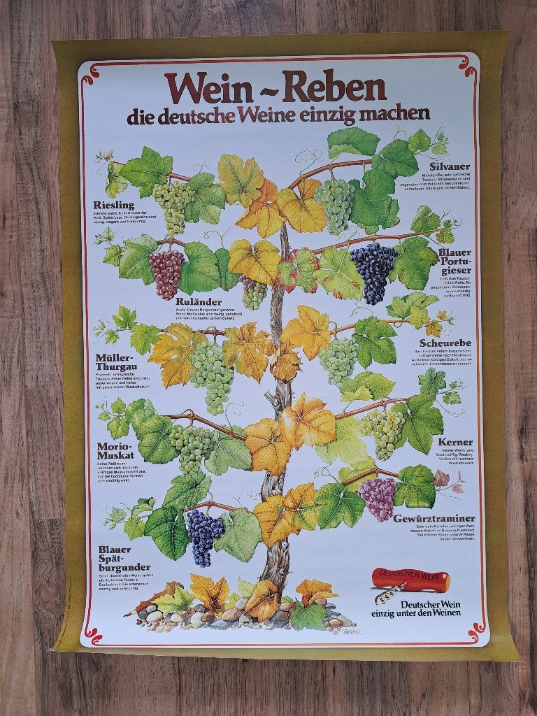 Wein reben poster groot, Verzamelen, Rechthoekig Staand, Deurposter of groter, Ophalen of Verzenden, Zo goed als nieuw