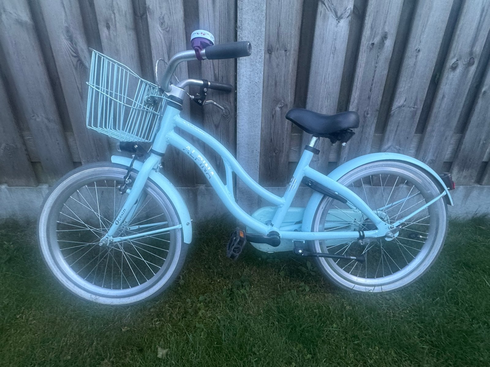 Alpina Ocean 20 inch kinderfiets, Ophalen, Gebruikt, 20 inch of meer, Alpina