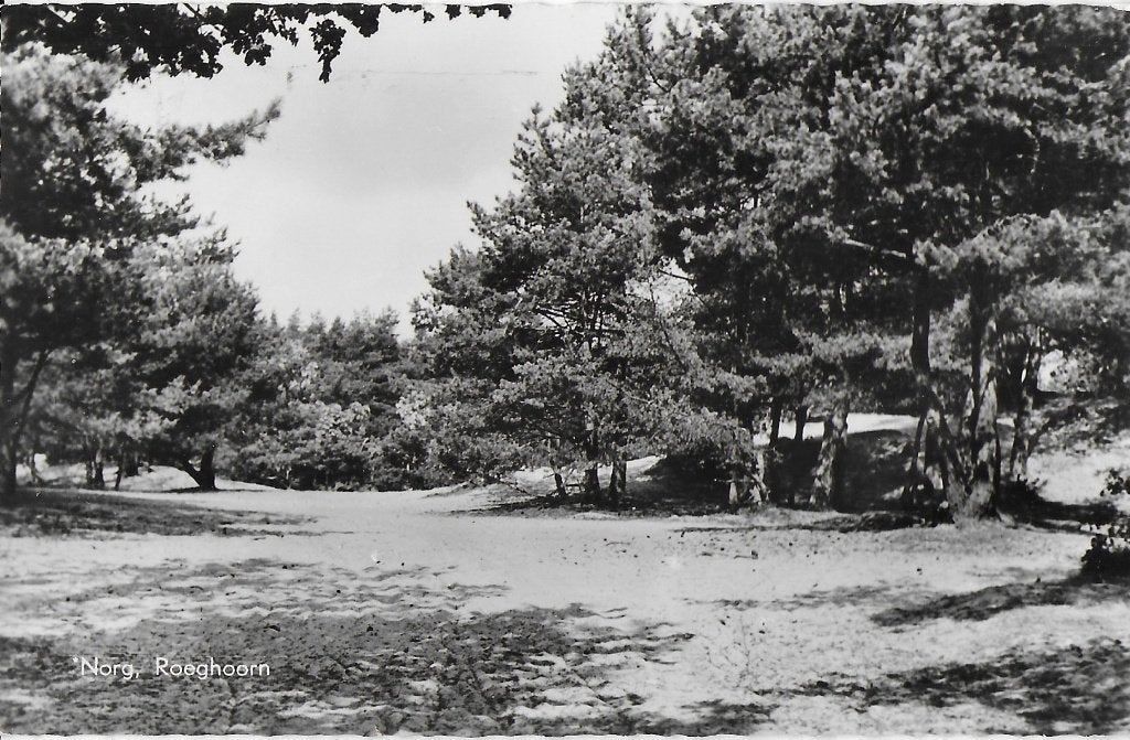 Pa1019 Oude gelopen Ansichtkaart Norg Roeghoorn, Ophalen of Verzenden, 1960 tot 1980, Gelopen