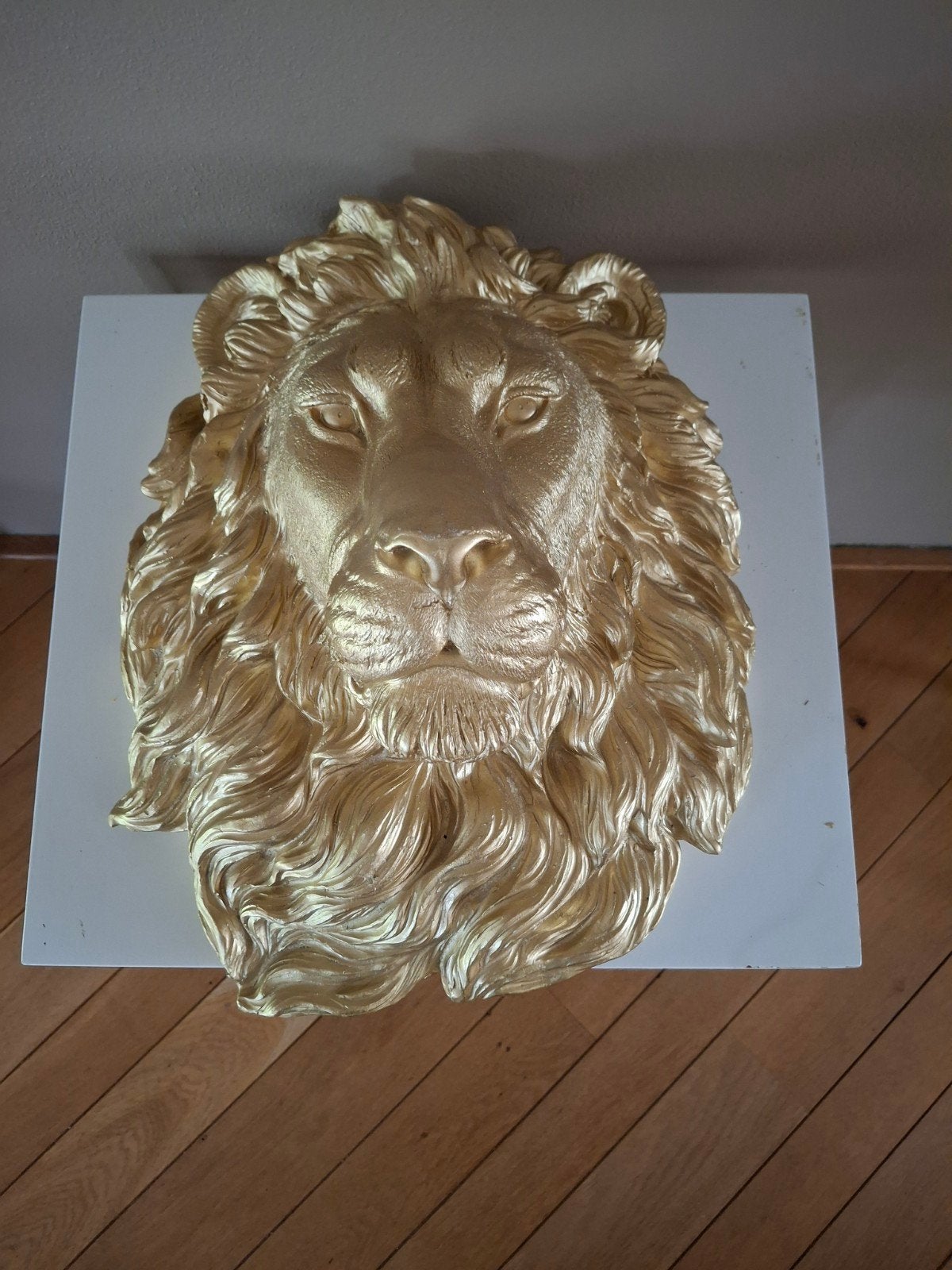 Gouden Leeuwenkop Wanddecoratie, Ophalen