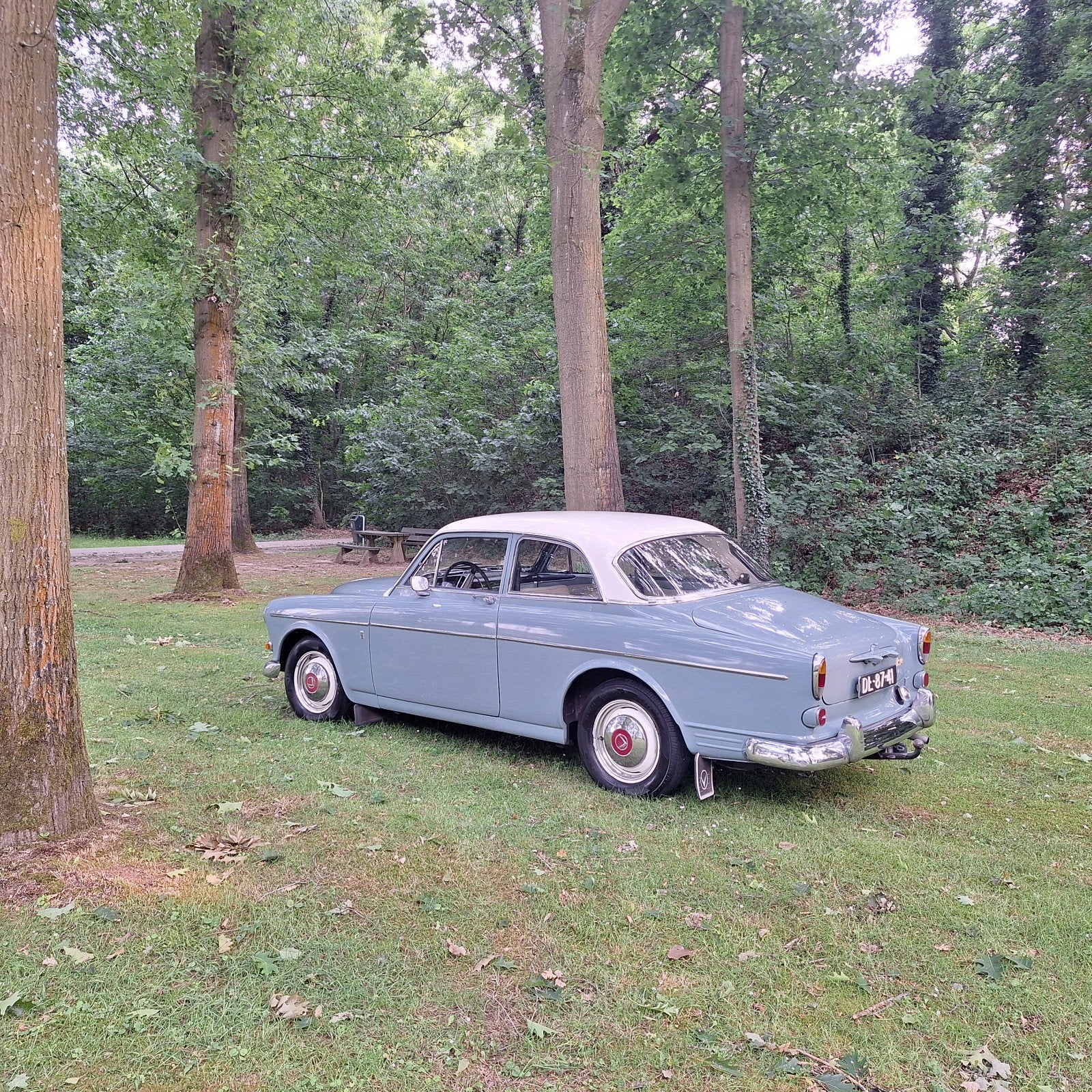 Prachtige Volvo Amazon uit 1962, foto 3