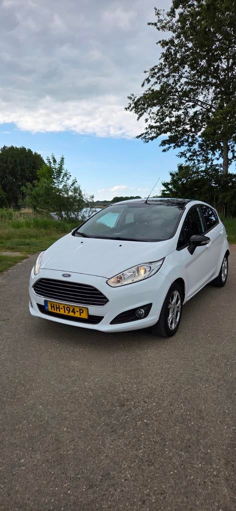 Ford Fiësta 1.0 48KW/65PK 5D 2015 Wit, Auto's, Ford, Particulier, Fiësta, Benzine, A, Hatchback, Handgeschakeld, Origineel Nederlands