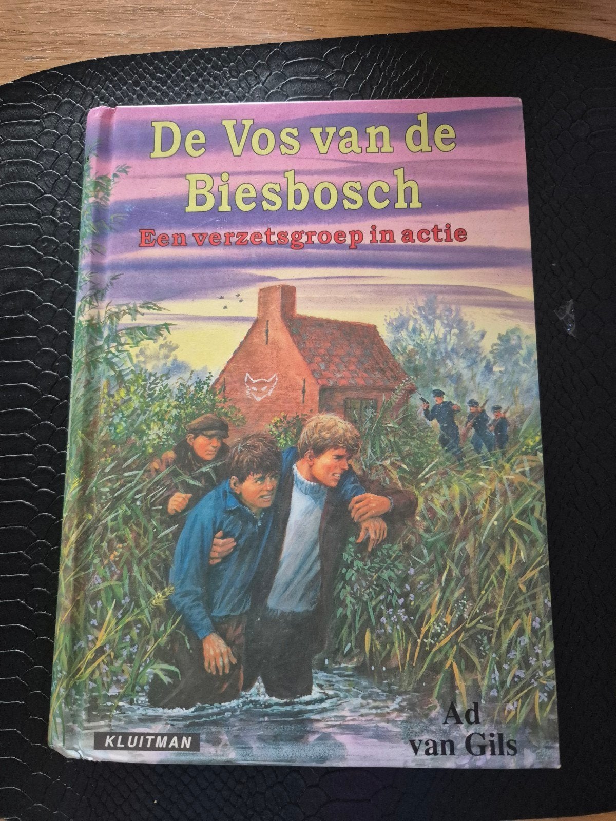 Ad van Gils - Een verzetsgroep in actie, Boeken, Ophalen of Verzenden, Zo goed als nieuw, Ad van Gils