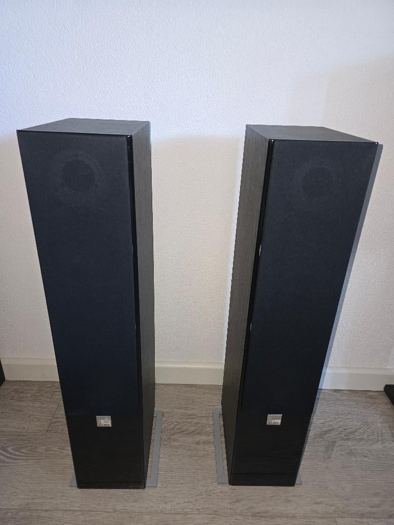 Dali Zensor 5 Vloerstaande Luidsprekers (Black Ash), Audio, Tv en Foto, Luidsprekers, Zo goed als nieuw, 120 watt of meer, Front, Rear of Stereo speakers