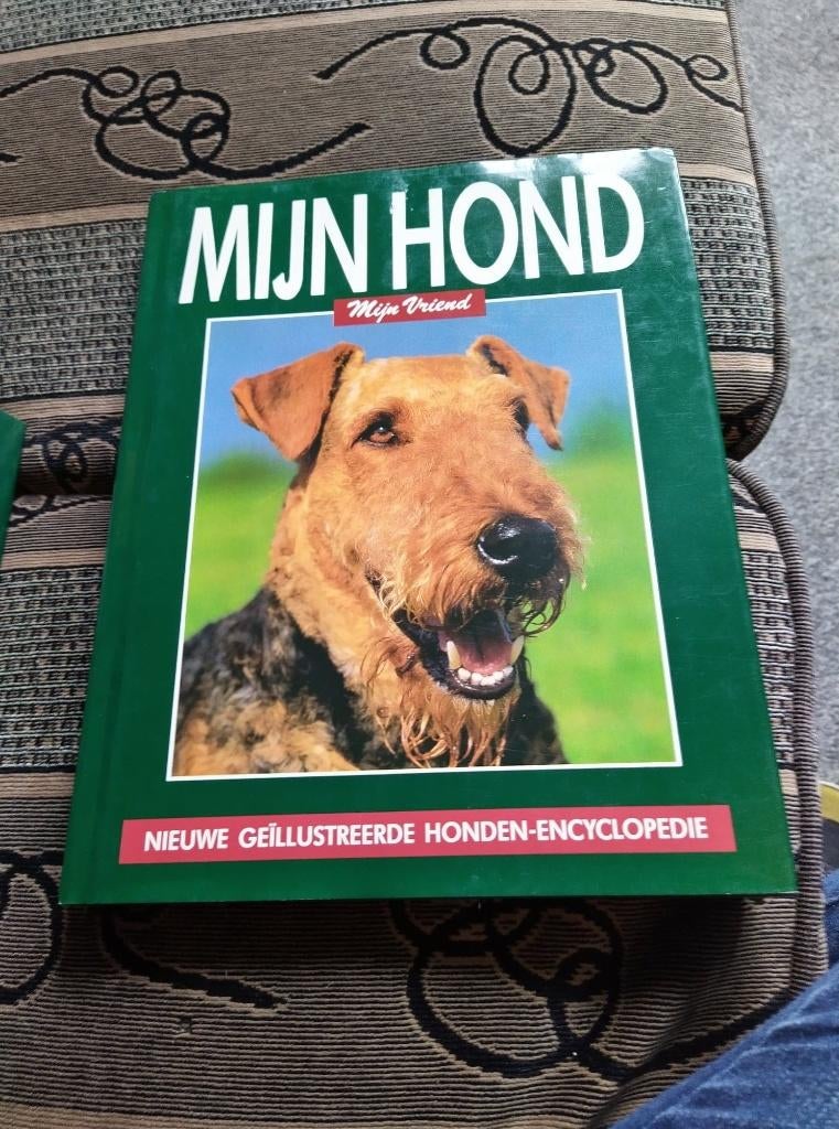 Mijn hond mijn vriend, Ophalen, Zo goed als nieuw, Honden