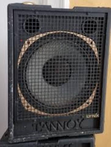 Gezocht 2 x cabinet Tannoy Lynx (leeg), Audio, Tv en Foto, Luidsprekers, Gebruikt, Front, Rear of Stereo speakers, 120 watt of meer
