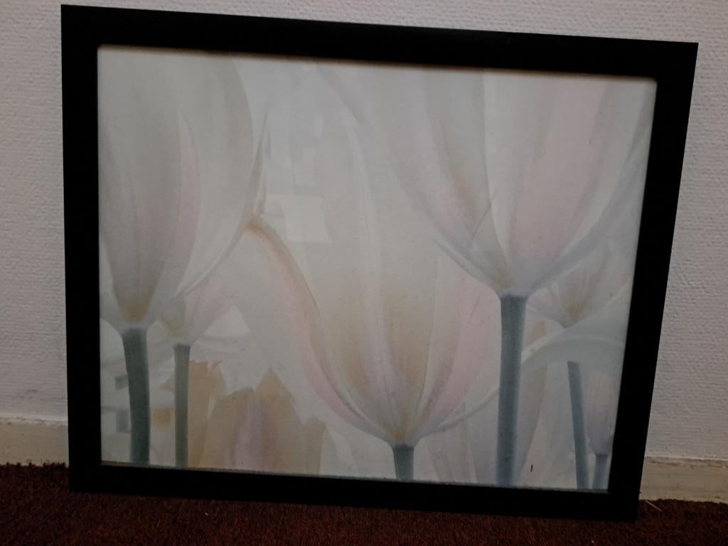 Zwart Lijst met grijs lila tulpen poster 55cm bij 45cm, Ophalen of Verzenden, 50 tot 75 cm, 50 tot 75 cm