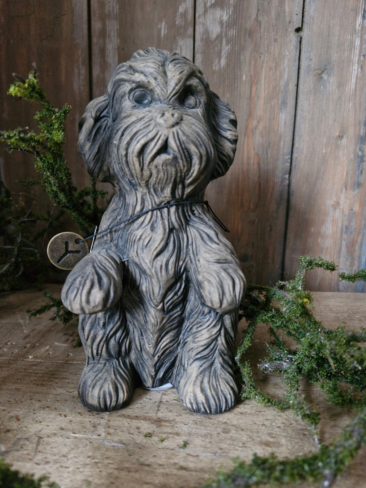 Brynxz. Sitting dog cute. Majestic Brown, ., Nieuw, Ophalen of Verzenden, Landelijk