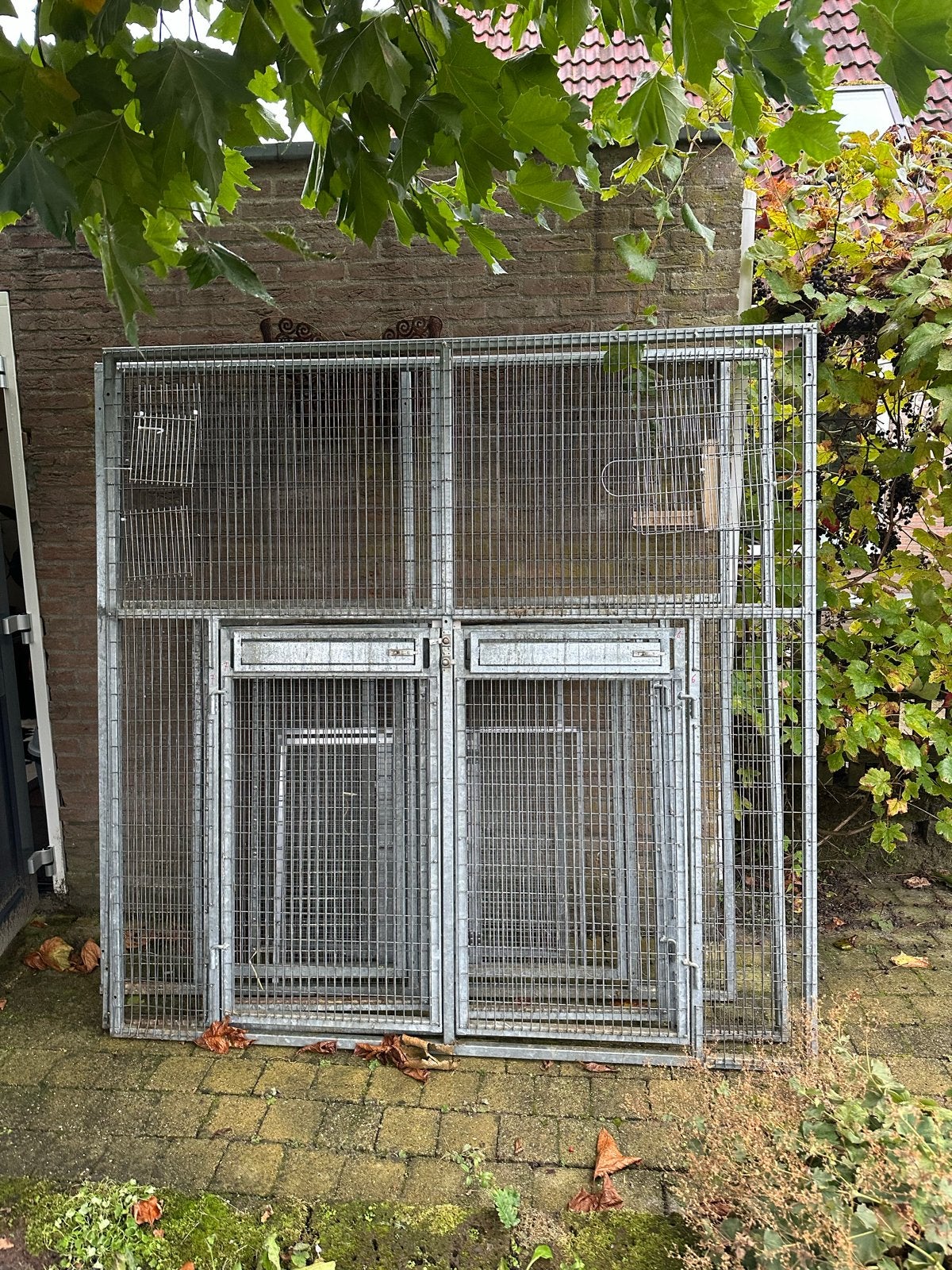 Papegaaien voor fronten, Ophalen, Zo goed als nieuw, Metaal, Overige typen