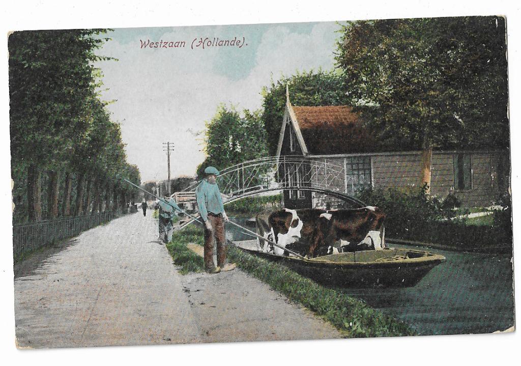 Westzaan, Holande(reclamekaart Blookers Daalders Cacao), Ophalen of Verzenden, 1920 tot 1940, Ongelopen, Noord-Holland