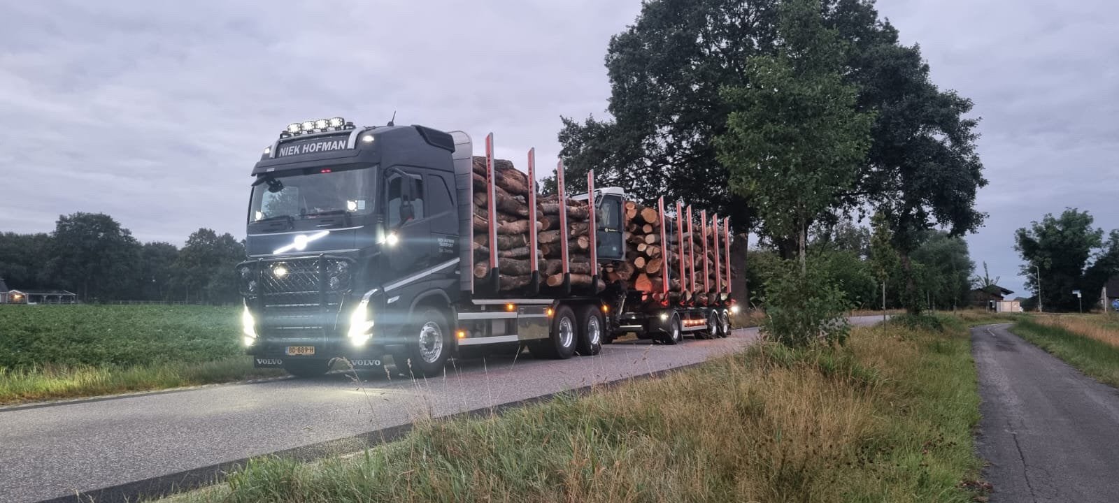Stamhout/rondhout/haardhout - Doe-het-zelver & Professionals
