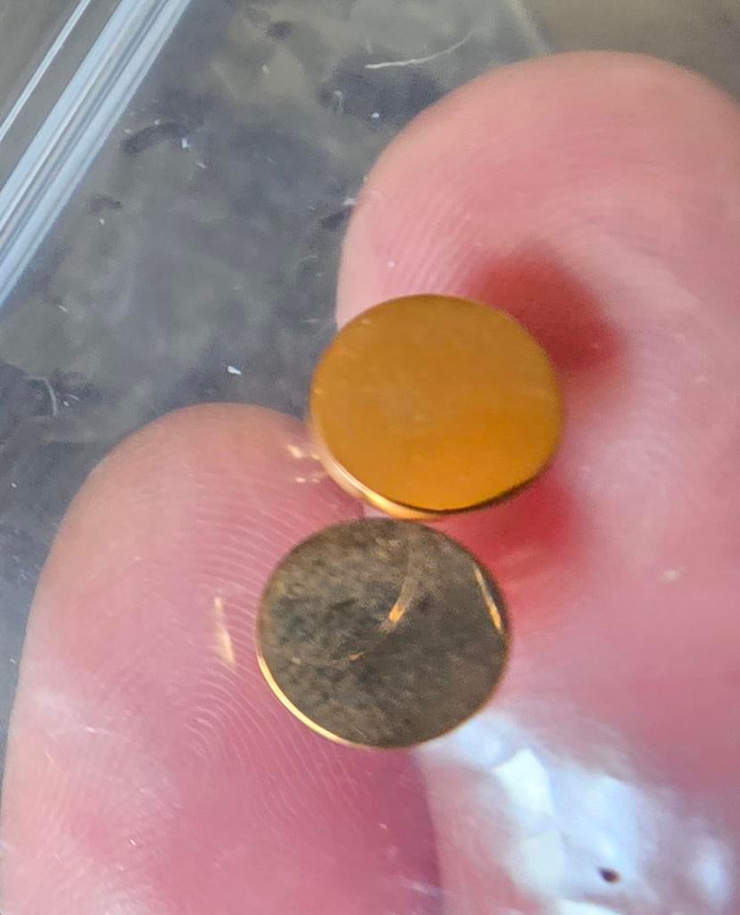 iXXXi oorstekers nieuw, Ophalen of Verzenden, Nieuw, Staal