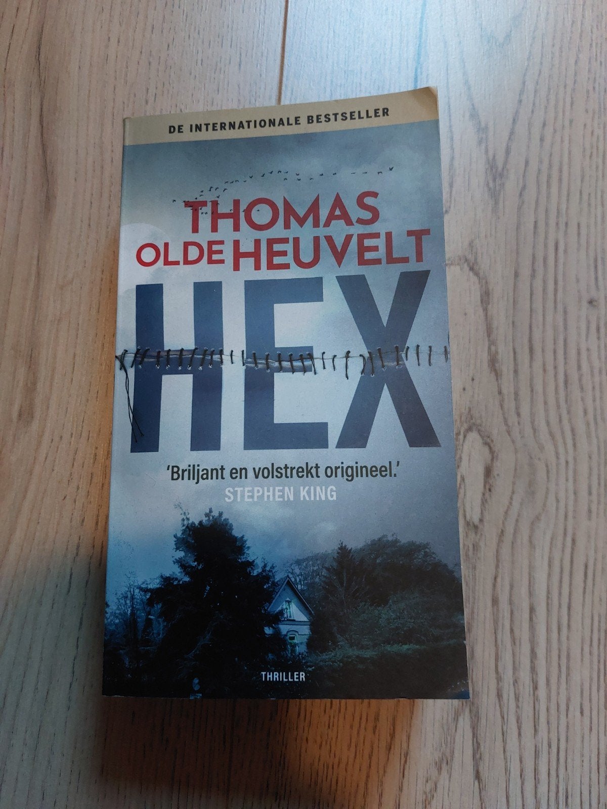 HEX - Thomas Olde Heuvelt (Thriller), Boeken, Ophalen of Verzenden, Zo goed als nieuw, Thomas Olde Heuvelt, Nederland