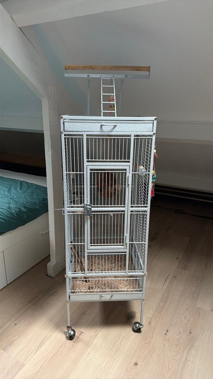Vogelkooi, Dieren en Toebehoren, Ophalen, Zo goed als nieuw, Metaal, Vogelkooi