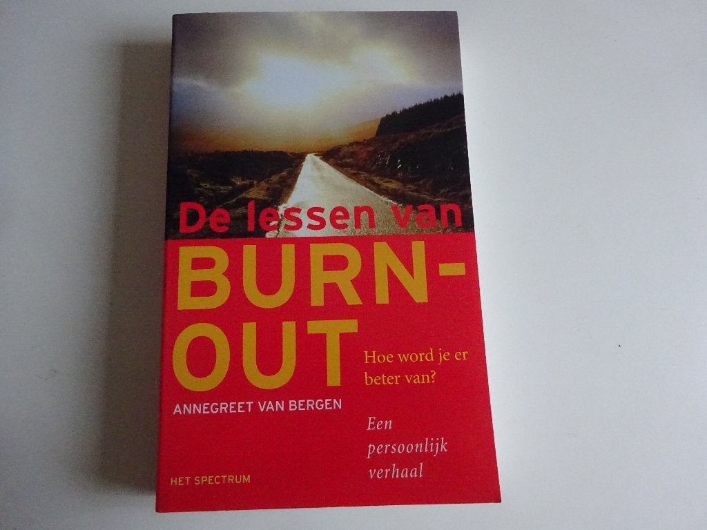 ANNEGREET VAN BERGEN - DE LESSEN VAN BURN OUT - Z.G.A.N., Ophalen of Verzenden, Zo goed als nieuw