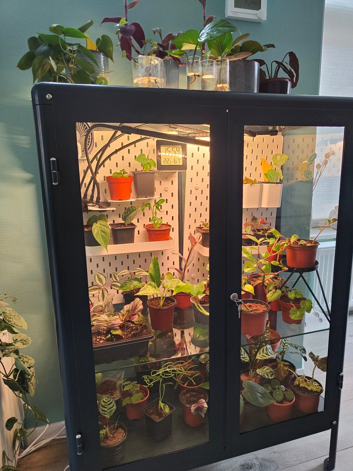 Ikea Fabrikor vitrinekast, Huis en Inrichting, Kasten | Vitrinekasten, Ophalen, 25 tot 50 cm, 50 tot 100 cm, Minder dan 100 cm