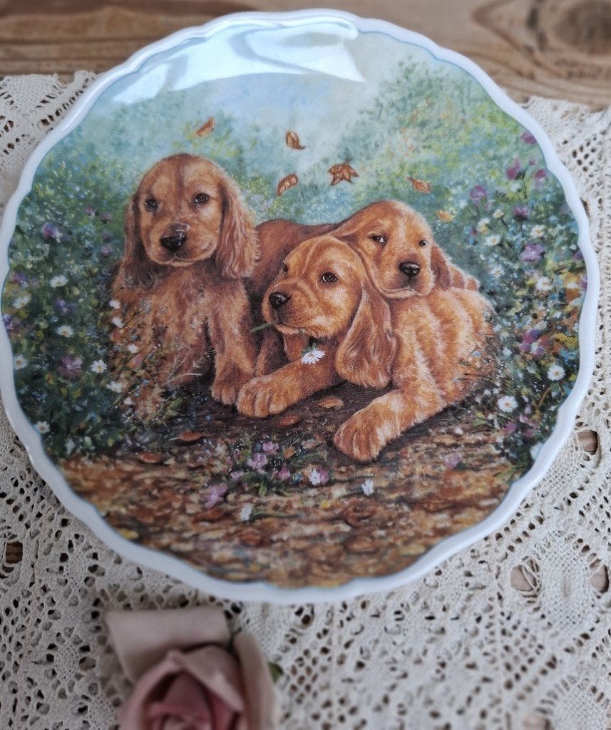 Vintage Royal Albert wandbord, Cocker Spaniels, 1995, Ophalen of Verzenden