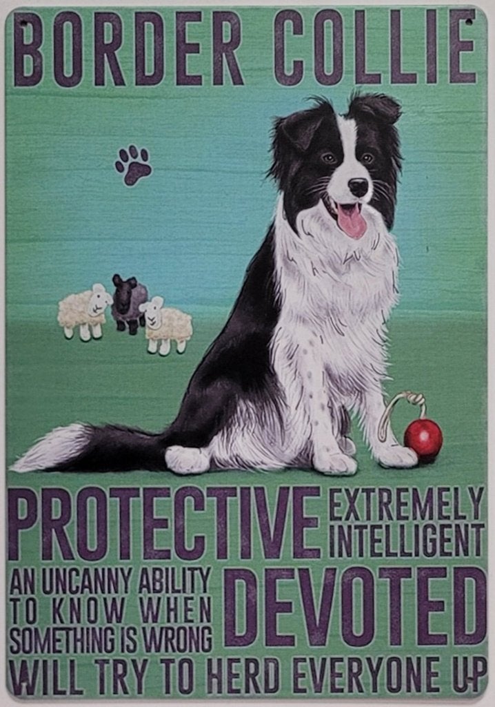 Border Collie hond eigenschappen reclamebord van metaal deco, Info@deconoord.nl, Nieuw, Ophalen of Verzenden, Dedco noord