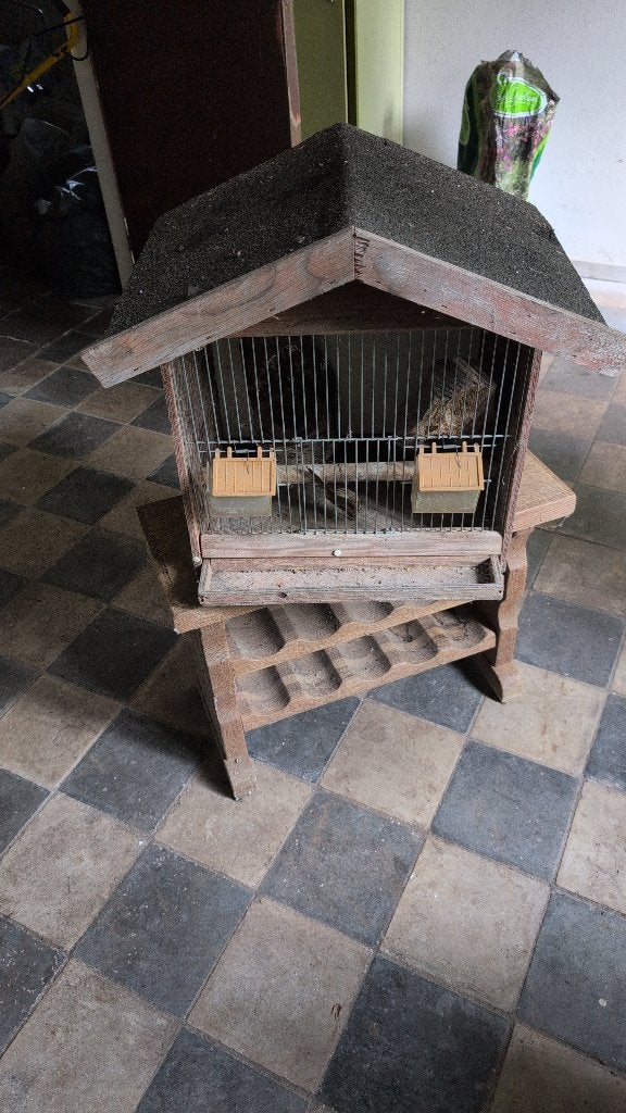 Vogelkooitje, Ophalen, Gebruikt, Hout, Vogelkooi