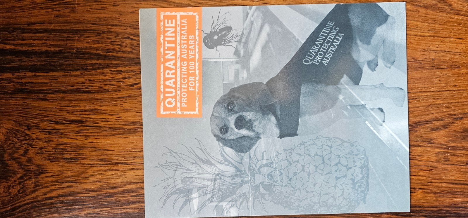 100 jaar Quarantine - Australische postzegels, Postzegels en Munten, Postzegels | Eerstedagenveloppen, Verzenden, Nederland