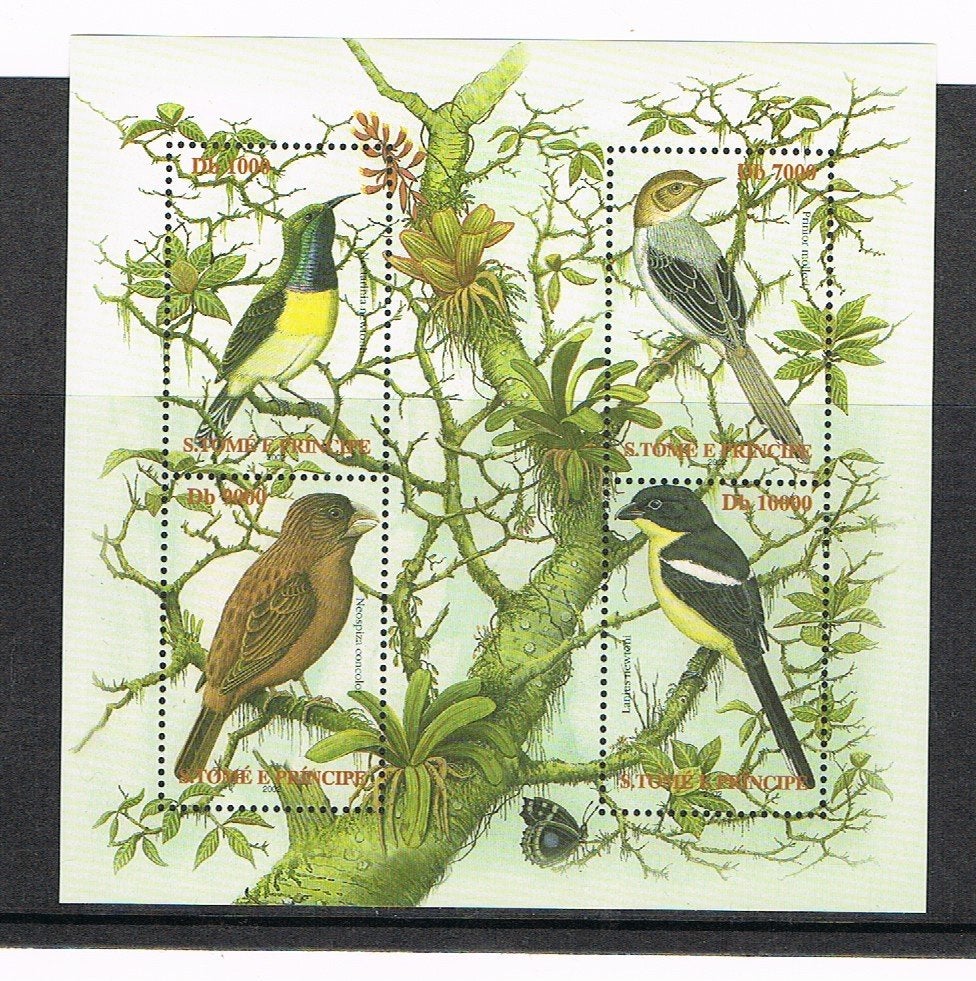 Vel Vogels San Tome, Ophalen of Verzenden, Postfris, Dier of Natuur