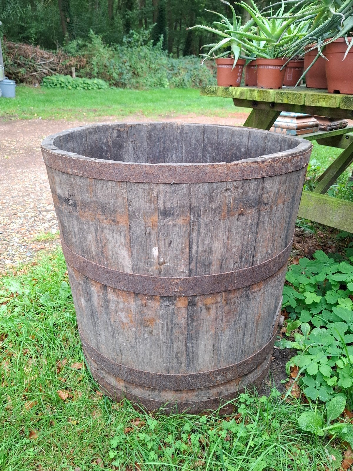 oude houten plantenbak kuip  trog orangerie olijf, Gebruikt, T, Rond, Ophalen of Verzenden