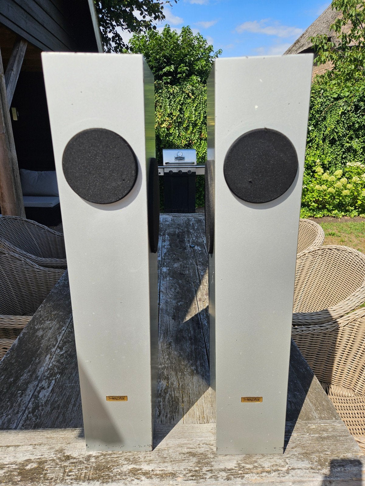 Hepta Spring Excellence speakers (2x), Gebruikt, Speakerset, 60 tot 120 watt, Ophalen