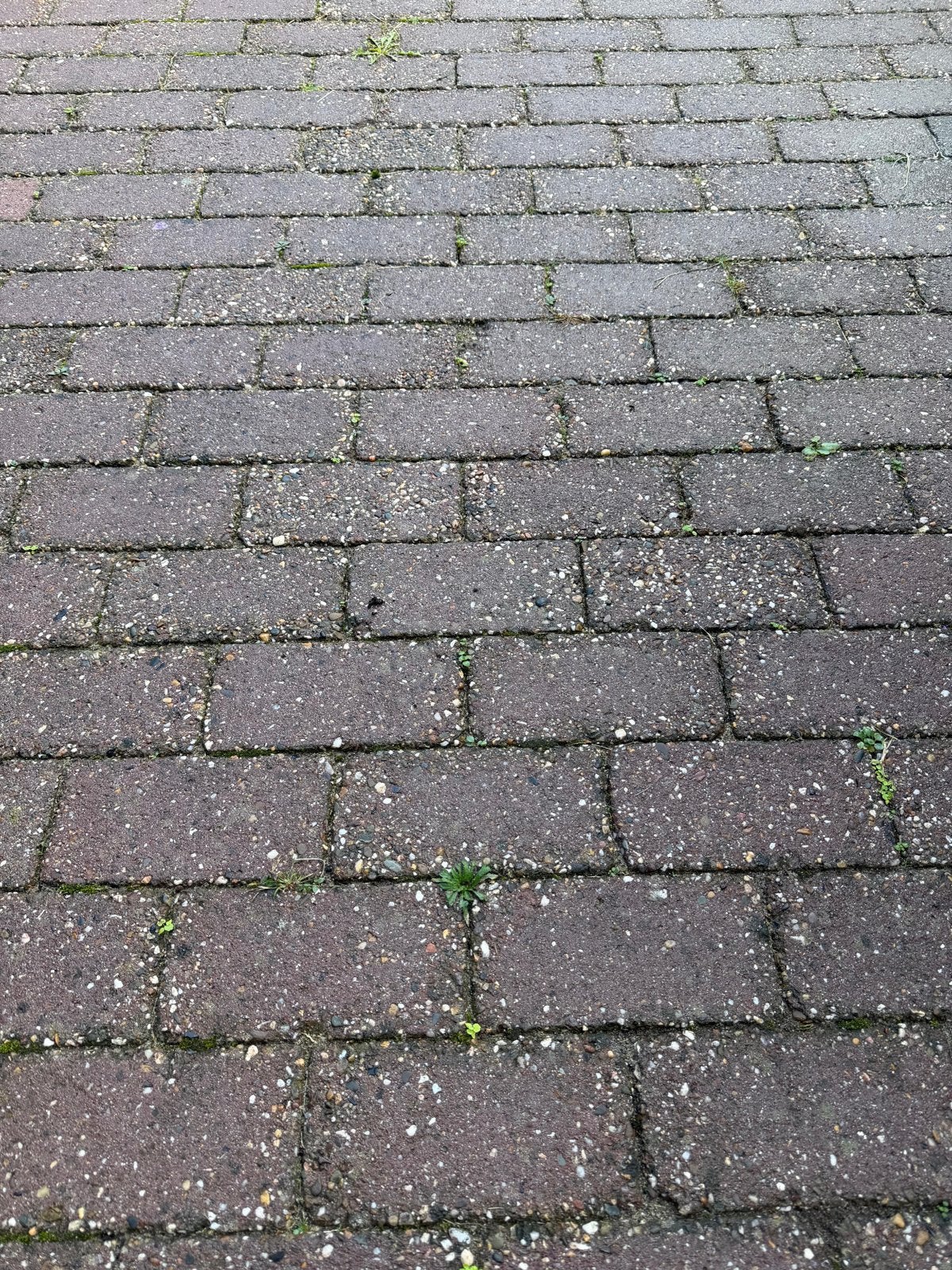 Gebruikte betonnen klinkers voor terras of oprit, Ophalen, Gebruikt, Klinkers, 10 m² of meer