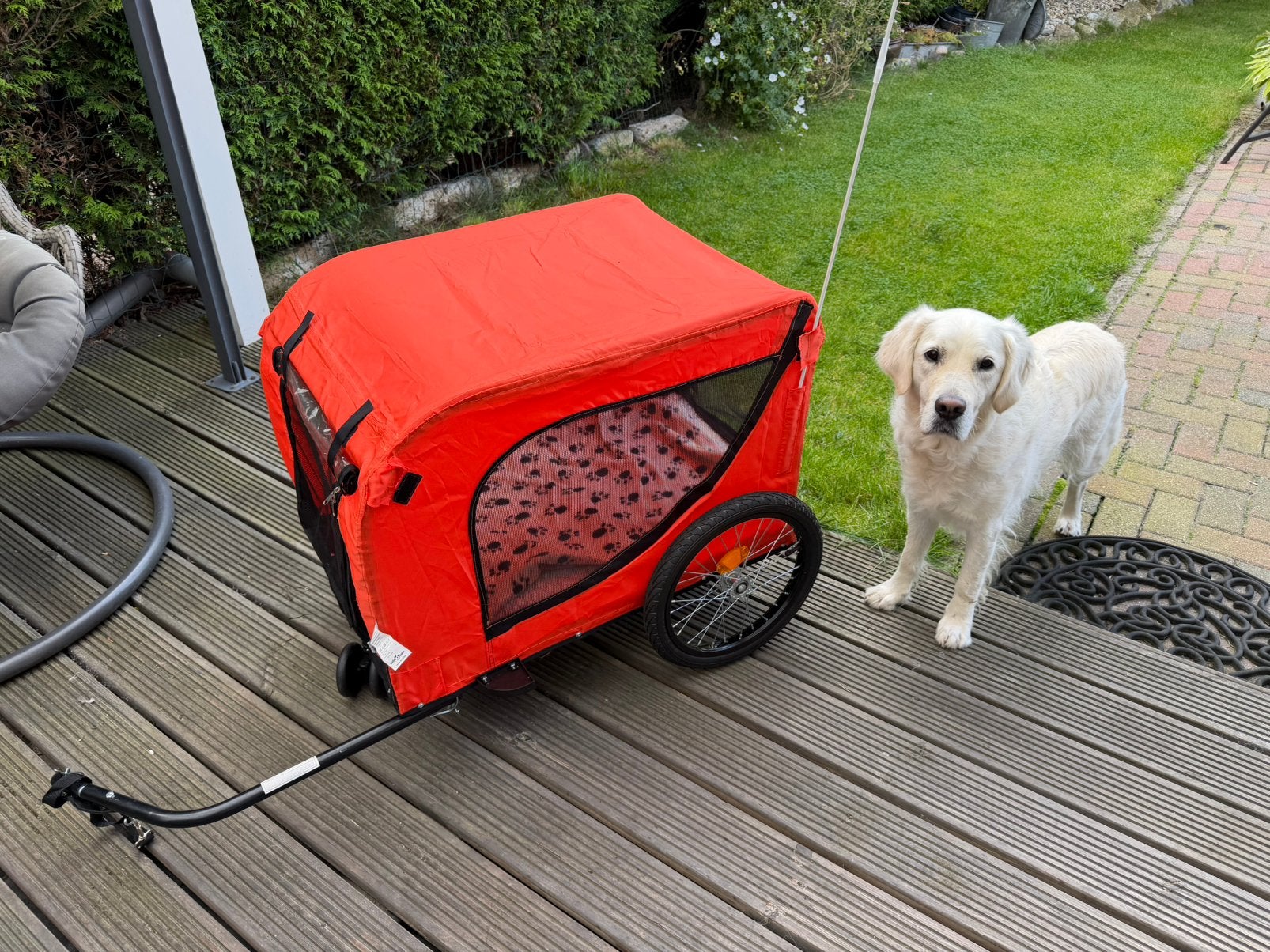 Nieuwe hondenfietskar, Opvouwbaar, Nieuw, 20 tot 40 kg, Ophalen of Verzenden