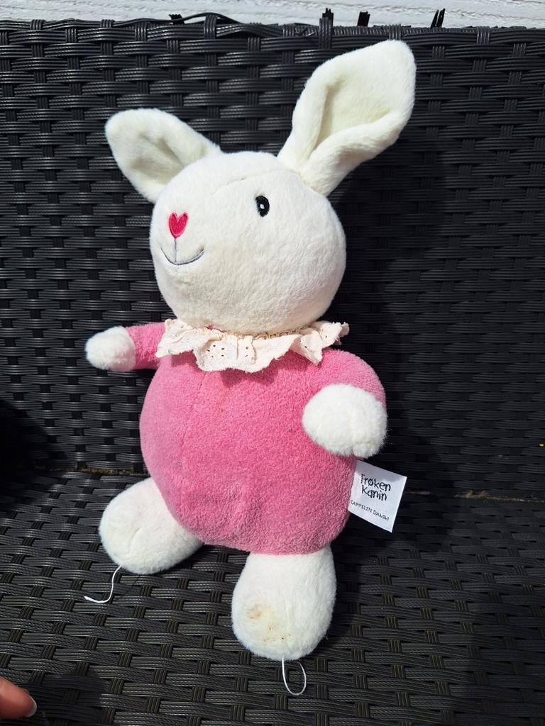 Knuffel konijn Casper en Emma, Verzenden, Konijn